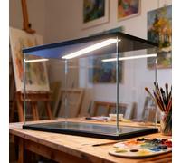 Vitrine Acrylique Vitrine Lumineuse Extra Longue Objets Collection, Boîte Comptoir Étanche Poupées, Balles Softball, Objets Artisanaux, Statues, Boîtes Rangement Plastique(50x40xH30cm/20x16x12in)