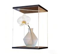 Vitrine Acrylique Vitrines Acrylique Objets Artisanaux, Disponibles Hauteurs 25, 30, 35, 40, 45, 50, 55, 60 cm, Boîtes Rangement Transparentes Anti-poussière(20x20xH20cm/8x8x8in)