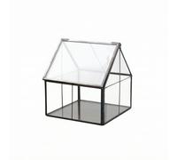 Vitrine Décorative avec Bord en Laiton | Transparent, Stable, Mini Serre avec Détail En Fil Cuivre, pour Bureau, Étagère, angle Décoration Végétale