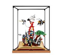 Vitrine en acrylique compatible avec Lego 21355 Ideas Series Knowledge Set - Anti-poussière - Boîte de rangement transparente - Compatible avec 21355 (boîte de présentation uniquement, kit non inclus