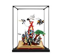 Vitrine en acrylique compatible avec Lego 21355 Ideas Series Knowledge Set - Anti-poussière - Boîte de rangement transparente - Compatible avec 21355 (boîte de présentation uniquement, kit non inclus