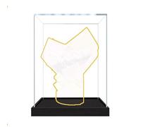 Vitrine en acrylique pour Le-go 10374 - Motif bouquet de roses roses - Boîte de présentation uniquement - 2 mm