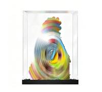 Vitrine en Acrylique pour Le*GO 43217 Une maison aux ballons colorés- Boîtier de présentation et de Rangement Transparent et Anti-poussière pour modèles de Construction de Collection (Black-2mm)