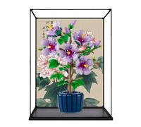 Vitrine en acrylique pour Lego 10372 modèle fleur d'hibiscus - Étanche à la poussière - Transparent - Vitrine de collection de modèles (modèle non inclus) (bordure en alliage de fond-A)