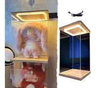Vitrine en Acrylique Présentoir En Acrylique pour Poupées de Collection avec Éclairage, Grande Vitrine Anti-poussière avec Porte pour Figurines, Grande Vitrine Transparente(25x30x30cm/10x12x12in)