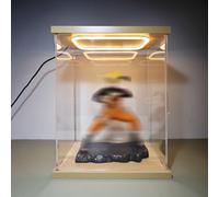 Vitrine en Acrylique Présentoir Transparent pour Figurines, Haut Et Étroit, 10/15/20/25/30/35/40/60cm Vitrines Acryliques Lumineuses, Vitrine LED Anti-poussière Personnalisable(45x50x60cm/18x20x24in)