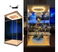 Vitrine en Acrylique Vitrine Acrylique LED - 10/15/20/25/30/35/40/50/60 Cm de Hauteur Boîte de Rangement Transparente pour Figurines, Trophées, Maquettes de Voitures, Objets de Collection(25x25x40cm/1