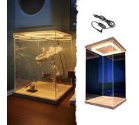 Vitrine en Acrylique Vitrines Hautes en Acrylique Transparent, Vitrines Rangement Anti-poussière Porte, 10/15/20/25/30/35/40/50/60cm Boîte Figurines Et Objets Collection(25x25x45cm/10x10x18in)