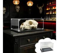 Vitrine en forme de crâne d'animal - Résistante à la poussière - Pour bar, école, bureau et hôpital - Grande boîte de rangement pour une décoration unique