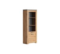 Vitrine FOLLOW - Mélaminé chêne artisan et gris ardoise - 2 portes dont 1 en verre trempée - L73 x H199 x P40 cm - TRENDTEAM