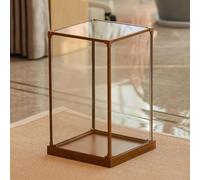 Vitrine pour Collection Vitrine en Acrylique avec Base en Bois et Cadre en Aluminium, Boîte de Présentation Haute et Étroite Transparente, Bacs de Rangement D'affichage(50x50x60cm(20x20x24in))