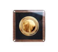 Vitrine pour insignes en bois | Organisateur décoratif en bois vintage transparent | Vitrine organisatrice pour photos bouquet | pour bijoux, épingles sportives, souvenirs et mémoire