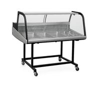 Vitrine Réfrigérée Marché 255L - Modèle 1250 mm - Température Réglable 2 à 12°C - Éclairage LED - Accès Arrière Coulissant - Compatible GN 1/1 & GN 1/4 - Contrôle Numérique - 230V