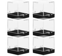 Vitrine Transparente Cube, pour Spécimens Minéraux, Lot de 6 | Plastique Lisse, Base Incluse, Empilable sur Bureau, pour Coquillages et Collections
