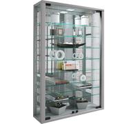 VitrosaMini vitrine accroché au mur avec miroir 2 portes en verre Incl. lumières LED couleur argent.