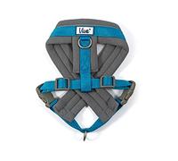 Viva Harnais rembourré Bleu M 41-53 cm