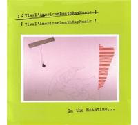 Viva l?American Death Ray Music - In the Meantime