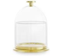 Viva Scandinavia (V82400) Pot à thé Senses™ (0.22l) - Or