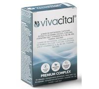 VIVACITAL Nattokinase 2000 - Supplément anti-âge - Avec Chitosan, Curcuma, Coenzyme Q10, Silicium biologique (extrait de bambou) - Formule multiaction 100% naturelle - Multivitamines