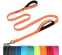 VIVAGLORY Laisse pour Chien avec Poignée de Contrôle, Longe à Deux Poignées Souples Rembourrées, Accessoire d’Entraînement Réfléchissant et Mousqueton Métallique, Orange, 1.2 m x 2.5 cm