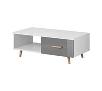 Vivaldi Sweden Table Basse | 40 x 110 x 60 cm | en Panneau Stratifié 16 mm | Dos HDF | sans Éclairage RVB | Idéal pour Le Salon, la Salle à Manger | Blanc Mat et Gris Brillant