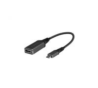 Vivanco VNITADDPITC Adaptateur USB C DisplayPort M/F 0 1M Noir