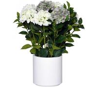 VIVANNO Plante artificielle plastique HYDRANGEA Organique, blanc - 60x78 cm