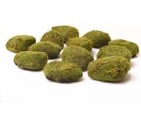 VIVANNO Plante artificielle plastique MOOSY Organique, vert - 12x5 cm