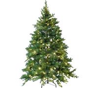 VIVANNO Sapin de Noël polyéthylène NORDMANN Rond, Vert - 127x180 cm