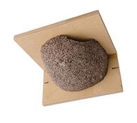 Vivara Nichoir pour Hirondelle de Fenêtre - Oiseau - Animaux - Maisonnette pour Oiseaux - 797 Grams