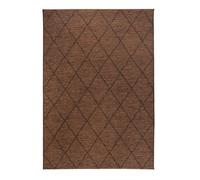 Vivaraise Tapis d’extérieur Allan Café 160 x 230