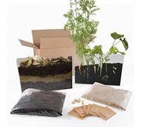 Vivarium d'observation racines pour jardin à l'école G