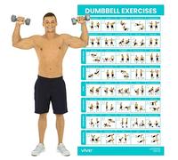 Affiche d'exercices d'haltères Vive - Entraînement à domicile pour le haut, le bas et le corps - Tableau de poids corporel plastifié pour le dos, les bras, le tronc et les jambes (76,2 x 43,2 cm)