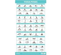 Vive Poster de yoga - Poses pour débutants et experts - Ensemble d'accessoires d'entraînement de gym à domicile - Accessoire d'organigramme laminé double face - Routine guidée d'instructions - Pour