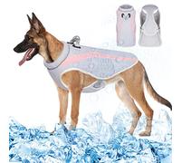 Vivi Bear Gilet de Refroidissement de Chien Manteau de Chien d'été, Refroidisseur de Marais de Chien Respirant Manteau de Refroidissement de Chien Veste Veste de Chien Anti-Chaleur (Rose, L)