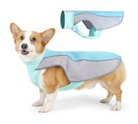 Vivi Bear Gilet de refroidissement pour chien avec bandes réfléchissantes - Protection solaire respirante - Manteau rafraîchissant d'été réglable - Équipement d'entraînement de randonnée en plein air