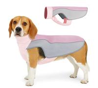 Vivi Bear Gilet de refroidissement pour chiens avec bandes réfléchissantes - Protection solaire respirante - Manteau rafraîchissant d'été réglable - Équipement d'entraînement de randonnée en plein air