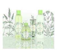 VIVIAN GRAY 1311 Naturals Gel douche Green Tea, vert (250 ml)