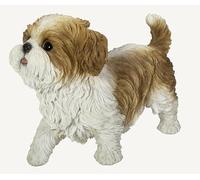 Vivid Arts - Active Pups Brown Shih Tzu - AP-STZU-D