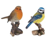 Vivid Arts British Birds Oiseaux décoratifs pour maison ou jardin Rouge-gorge et mésange bleue