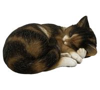 Vivid Arts - Chat endormi écaille de tortue - XRL-ZC32-D