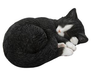 Vivid Arts - Chat endormi noir et blanc - XRL-ZC35-D