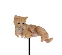 Vivid Arts - Chat et chaton roux - PLP-115