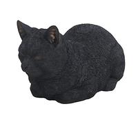 Vivid Arts Chat rêveur Noir Taille B