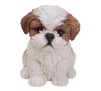 Vivid Arts Chiot Shih Tzu marron, blanc
