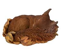 Vivid Arts Écureuil rouge endormi dans une feuille | Décoration de maison ou de jardin en résine | XRL-RS02-F