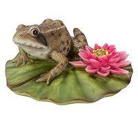 Vivid Arts Grenouille sur lys | Décoration en résine pour la maison ou le jardin | XRL-FRGL-D