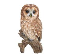 Vivid Arts Hulotte Réaliste (Taille B)