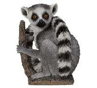 Vivid Arts - Lémurien à queue annulaire - PP-LEMR-F