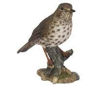 Vivid Arts Oiseaux du jardin (Grive chantante)